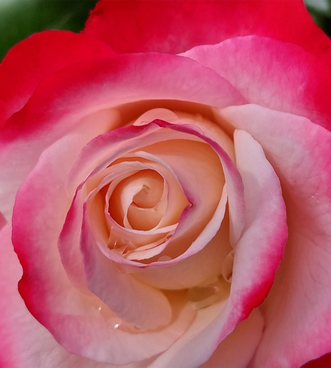 header-beratung-seelenarbeit